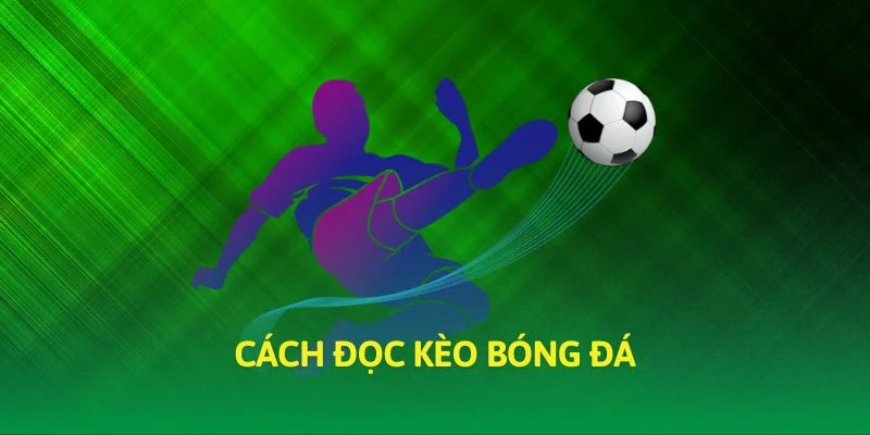 Cách Đọc Kèo Bóng Đá